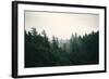 Forest Tips-Irene Suchocki-Framed Giclee Print