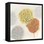 Forest Treasure II-June Vess-Framed Stretched Canvas