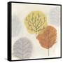 Forest Treasure II-June Vess-Framed Stretched Canvas