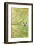 Forest Treasures Part I-Jennifer Lommers-Framed Art Print