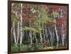 Forest, Trees, Birch, Maple, Autumn Foliage-Thonig-Framed Photographic Print