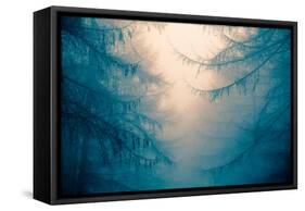 Forest Trees in Fog-Andy Bell-Framed Stretched Canvas