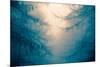 Forest Trees in Fog-Andy Bell-Mounted Photographic Print