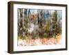 Forest Trees-Chamira Young-Framed Art Print