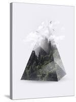 Forest Triangle-Robert Farkas-Stretched Canvas