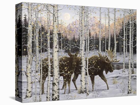 Forest Twilight-Jeff Tift-Stretched Canvas