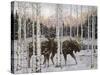 Forest Twilight-Jeff Tift-Stretched Canvas