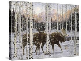 Forest Twilight-Jeff Tift-Stretched Canvas