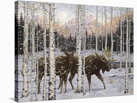 Forest Twilight-Jeff Tift-Stretched Canvas