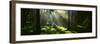 Forest Uppland Sweden-null-Framed Premium Photographic Print