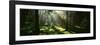 Forest Uppland Sweden-null-Framed Photographic Print