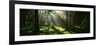 Forest Uppland Sweden-null-Framed Photographic Print