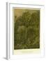 Forest Vegetation in Sennaar-null-Framed Giclee Print