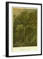 Forest Vegetation in Sennaar-null-Framed Giclee Print