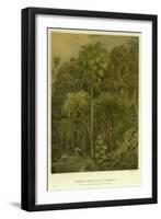 Forest Vegetation in Sennaar-null-Framed Giclee Print