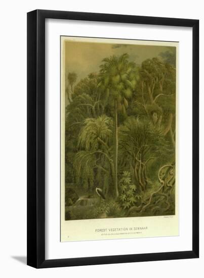 Forest Vegetation in Sennaar-null-Framed Giclee Print