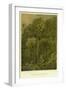 Forest Vegetation in Sennaar-null-Framed Giclee Print