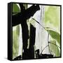 Forest View 2-Chris Paschke-Framed Stretched Canvas