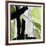 Forest View 2-Chris Paschke-Framed Premium Giclee Print