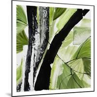 Forest View 4-Chris Paschke-Mounted Print