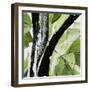Forest View 4-Chris Paschke-Framed Premium Giclee Print