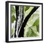 Forest View 4-Chris Paschke-Framed Premium Giclee Print