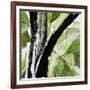 Forest View 4-Chris Paschke-Framed Premium Giclee Print