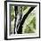 Forest View 4-Chris Paschke-Framed Giclee Print