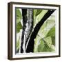 Forest View 4-Chris Paschke-Framed Giclee Print