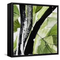 Forest View 4-Chris Paschke-Framed Stretched Canvas