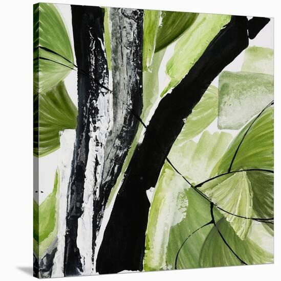 Forest View 4-Chris Paschke-Stretched Canvas