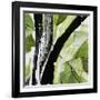 Forest View 4-Chris Paschke-Framed Giclee Print