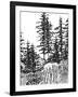 Forest Walk-Sandra Jacobs-Framed Giclee Print