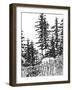 Forest Walk-Sandra Jacobs-Framed Giclee Print