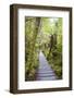 Forest Walkway Surrounding Lake Matheson-Matthew Williams-Ellis-Framed Photographic Print