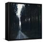 Forest way in the Teutoburg Forest in Bielefeld in winter-Nadja Jacke-Framed Stretched Canvas