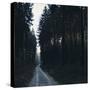 Forest way in the Teutoburg Forest in Bielefeld in winter-Nadja Jacke-Stretched Canvas