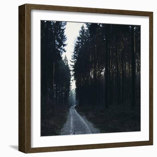 Forest way in the Teutoburg Forest in Bielefeld in winter-Nadja Jacke-Framed Photographic Print