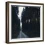 Forest way in the Teutoburg Forest in Bielefeld in winter-Nadja Jacke-Framed Photographic Print