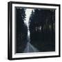 Forest way in the Teutoburg Forest in Bielefeld in winter-Nadja Jacke-Framed Photographic Print