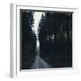 Forest way in the Teutoburg Forest in Bielefeld in winter-Nadja Jacke-Framed Photographic Print