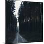 Forest way in the Teutoburg Forest in Bielefeld in winter-Nadja Jacke-Mounted Photographic Print