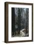Forest way in the Teutoburg Forest in March-Nadja Jacke-Framed Photographic Print