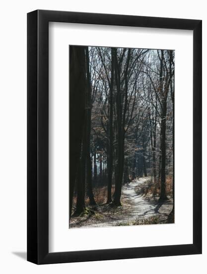 Forest way in the Teutoburg Forest in March-Nadja Jacke-Framed Photographic Print