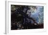 Forest with Deer, C.1608-10-Roelandt Jacobsz. Savery-Framed Giclee Print