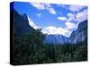 Forest with Mountains, Chile-Michael Brown-Stretched Canvas