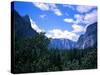 Forest with Mountains, Chile-Michael Brown-Stretched Canvas