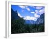 Forest with Mountains, Chile-Michael Brown-Framed Photographic Print