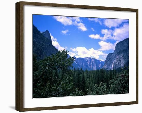 Forest with Mountains, Chile-Michael Brown-Framed Photographic Print