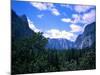 Forest with Mountains, Chile-Michael Brown-Mounted Photographic Print